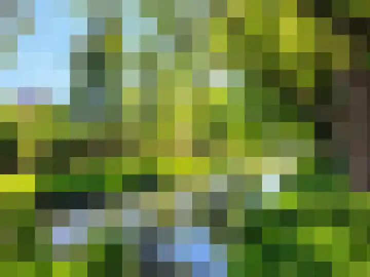 Lindenhof 21 Amstelveen thumbnail 16