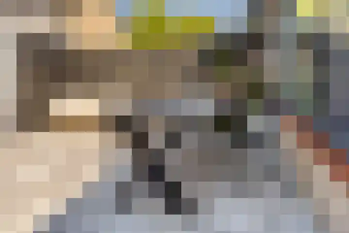 Lindenhof 22 Sleeuwijk thumbnail 17