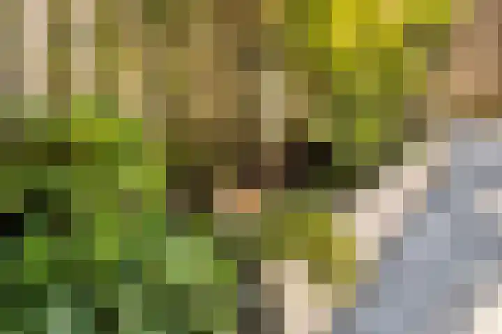 Lindenhof 22 Sleeuwijk thumbnail 20