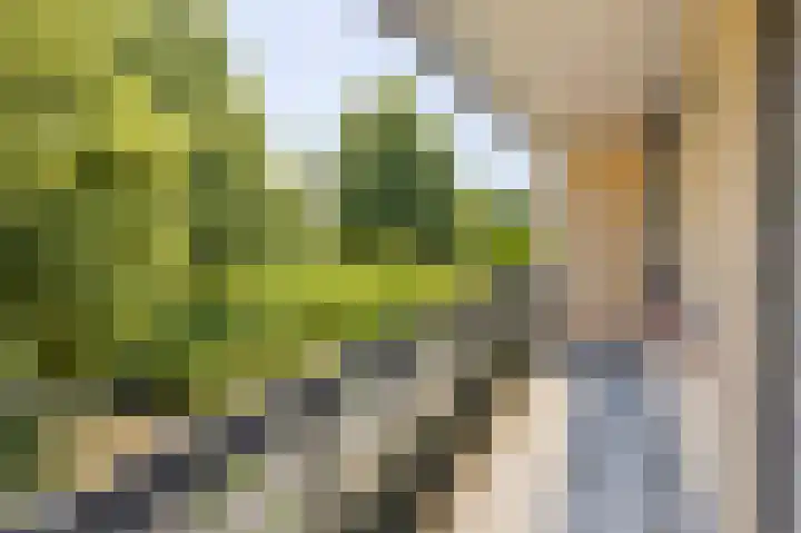 Lindenhof 22 Sleeuwijk thumbnail 31