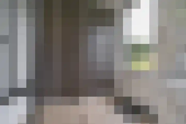 Lindenhof 37 Weert thumbnail 23