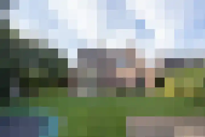 Lindenhof 37 Weert thumbnail 47