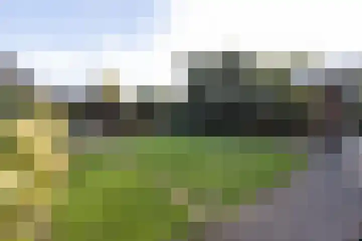 Lindenhof 37 Weert thumbnail 48
