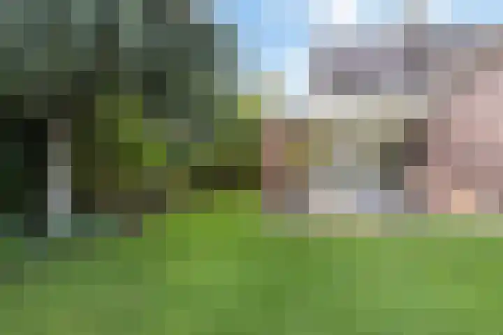 Lindenhof 37 Weert thumbnail 51