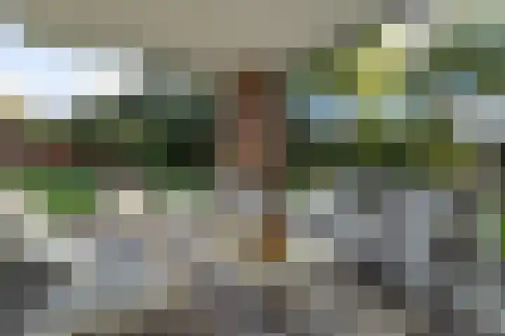 Lindenhof 37 Weert thumbnail 53