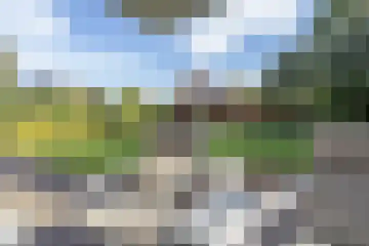Lindenhof 37 Weert thumbnail 54