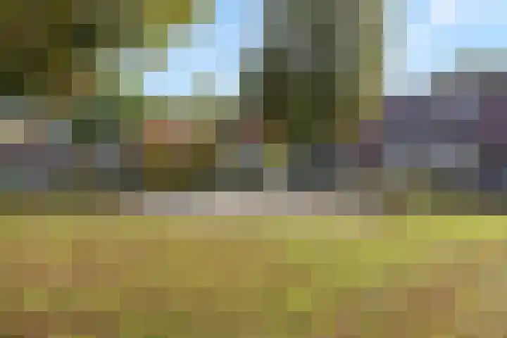 Lindenhof 37 Weert thumbnail 57
