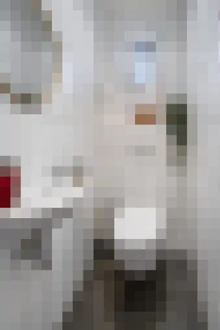Lindenhof 37 Weert thumbnail 8