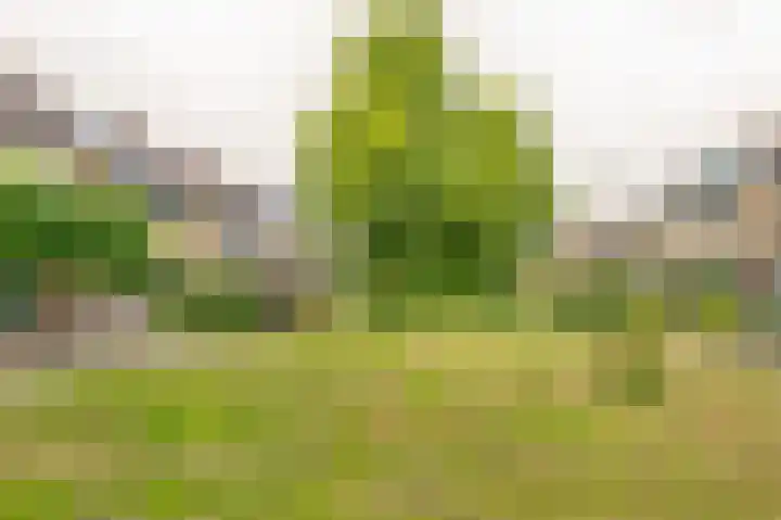 Lindenhof 4 Sleeuwijk thumbnail 4
