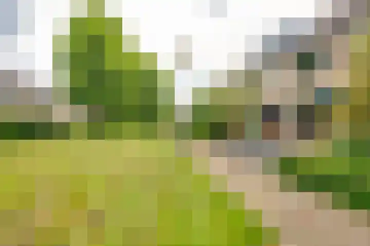 Lindenhof 4 Sleeuwijk thumbnail 5