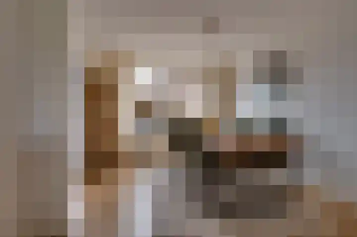 Lindenhof 4 Sleeuwijk thumbnail 9
