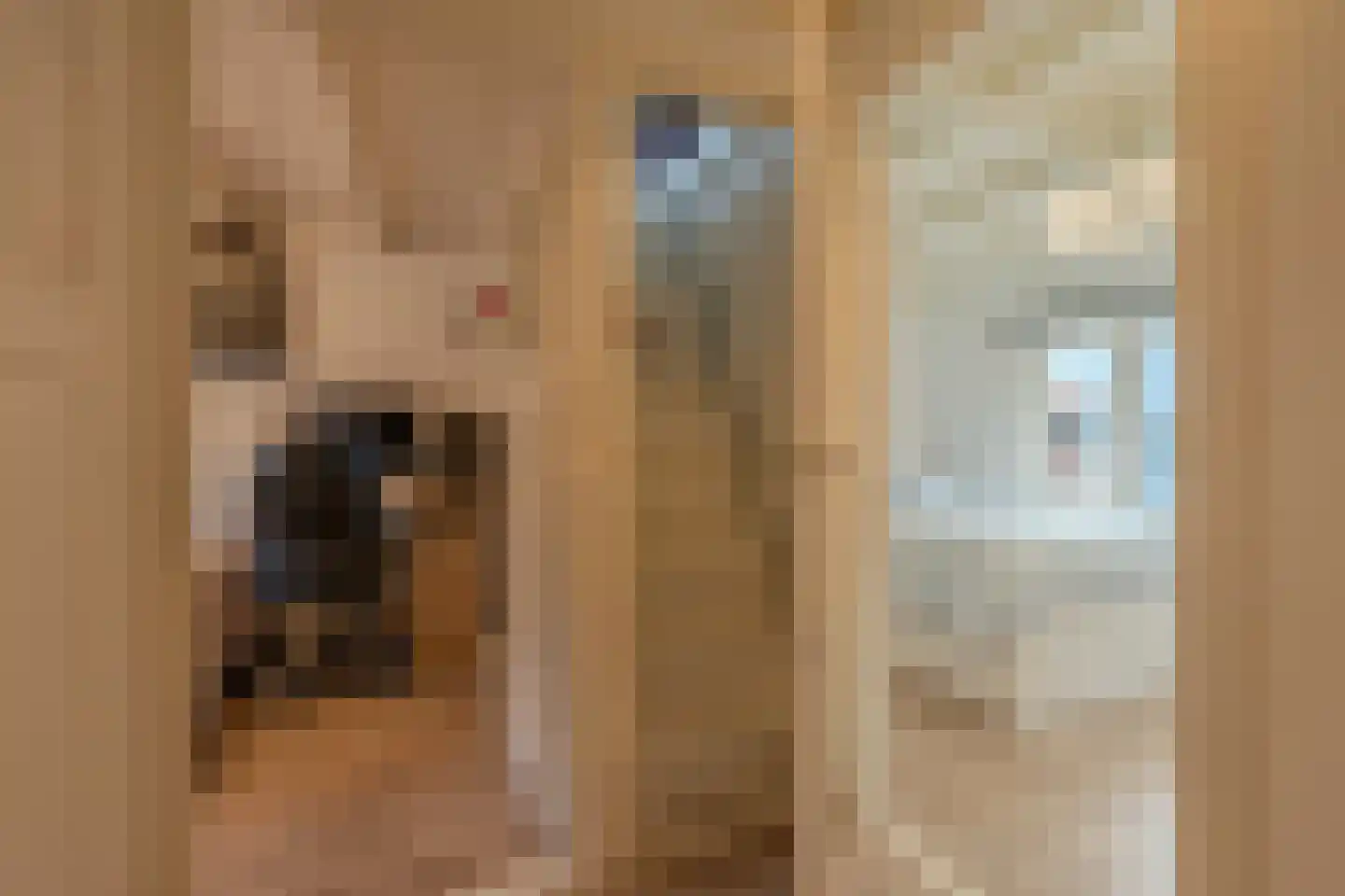 Lindenhofstraat 20 Noordwijk thumbnail 30