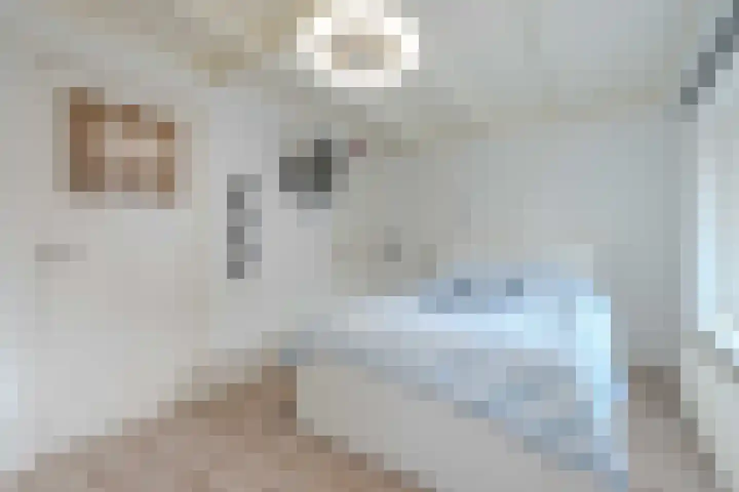 Lindenhofstraat 20 Noordwijk thumbnail 31