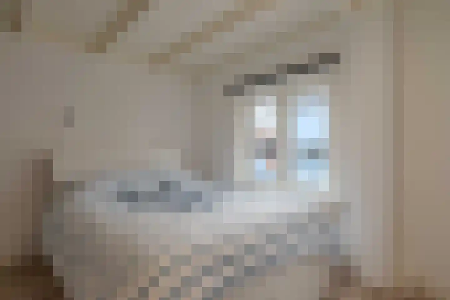 Lindenhofstraat 20 Noordwijk thumbnail 32