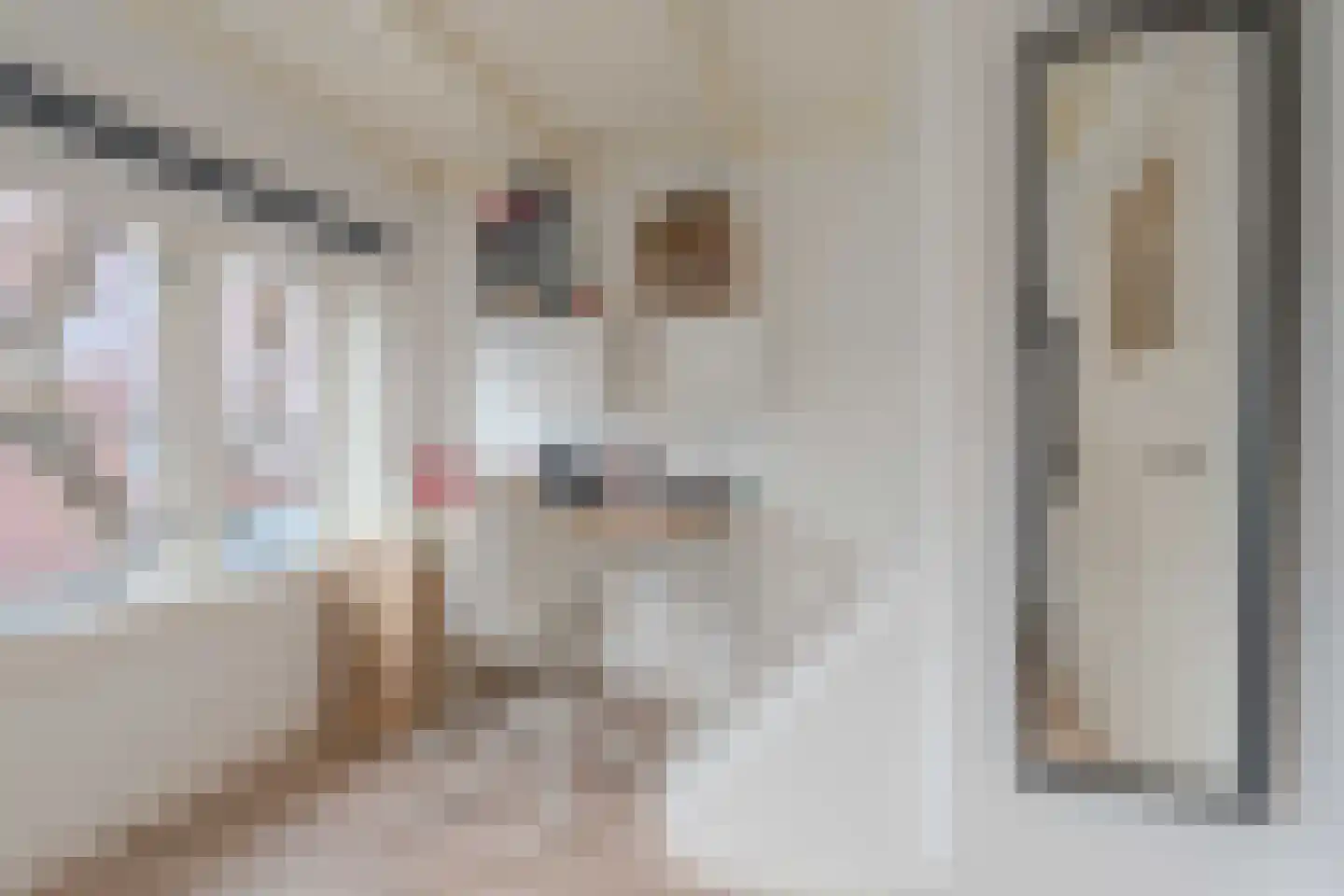Lindenhofstraat 20 Noordwijk thumbnail 33