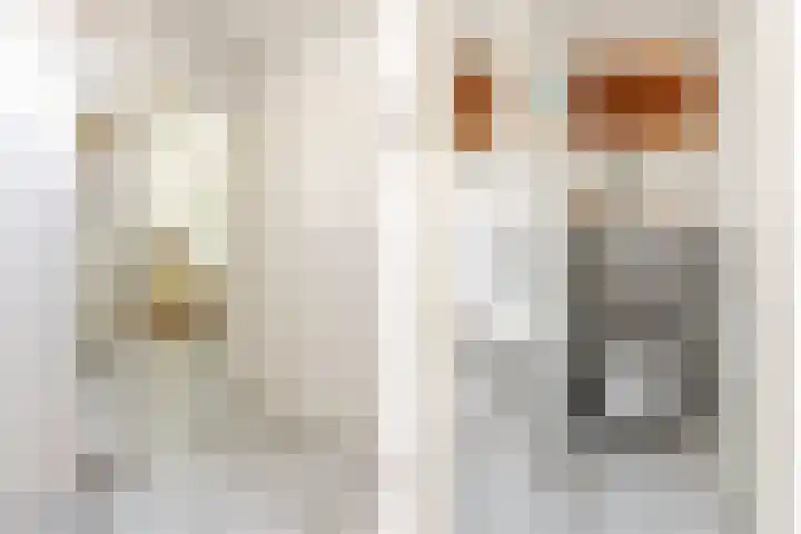 Lindenhorst 6 Rockanje thumbnail 11