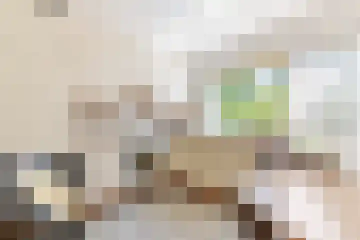Lindenhorst 6 Rockanje thumbnail 12