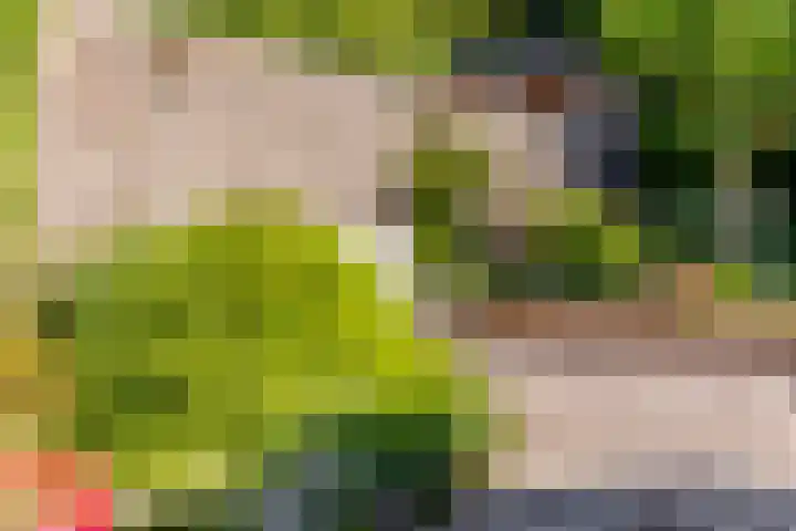 Lindenhorst 6 Rockanje thumbnail 33