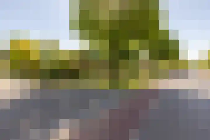 Lindenhorst 6 Rockanje thumbnail 37