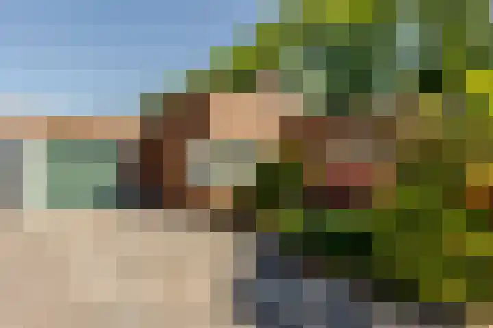 Lindenhorst 6 Rockanje thumbnail 40