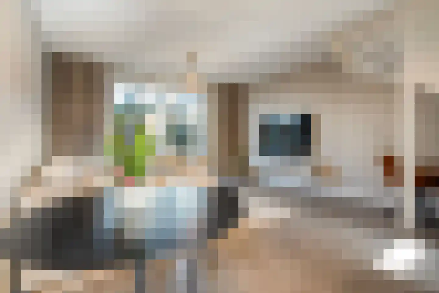 Lindenhorststraat 10 Zwolle thumbnail 13