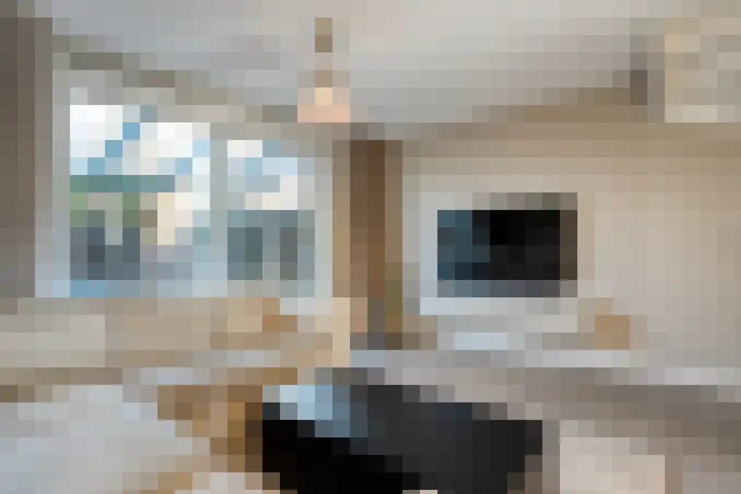 Lindenhorststraat 10 Zwolle thumbnail 14