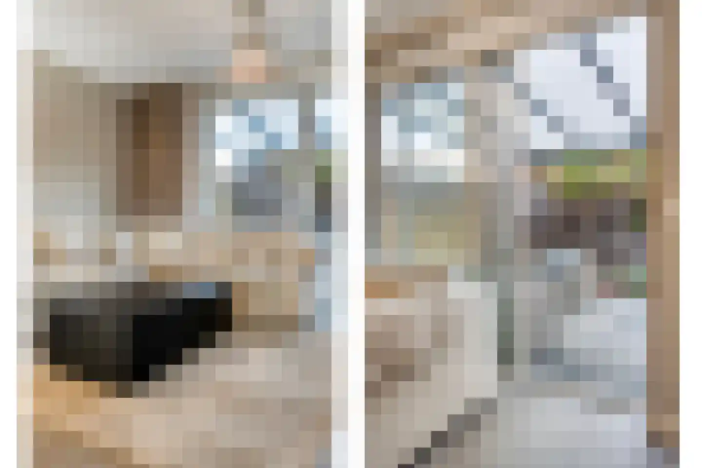 Lindenhorststraat 10 Zwolle thumbnail 15