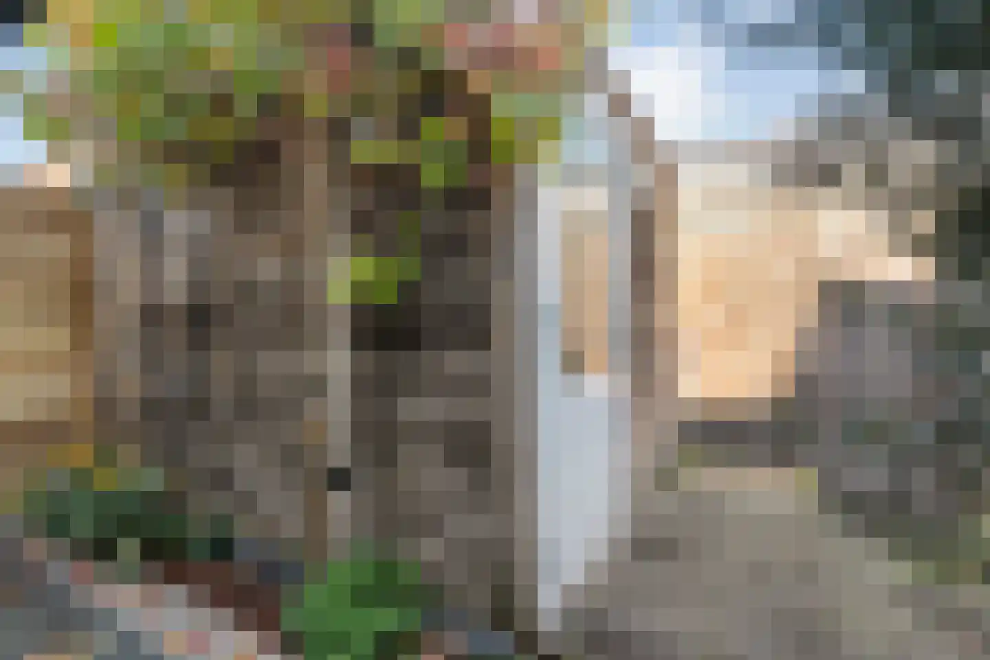 Lindenhorststraat 10 Zwolle thumbnail 27