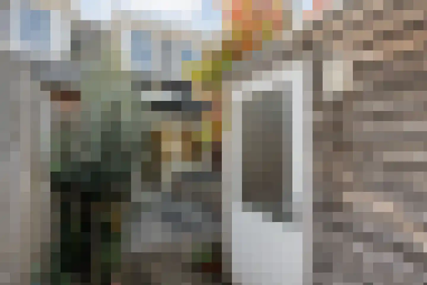 Lindenhorststraat 10 Zwolle thumbnail 28