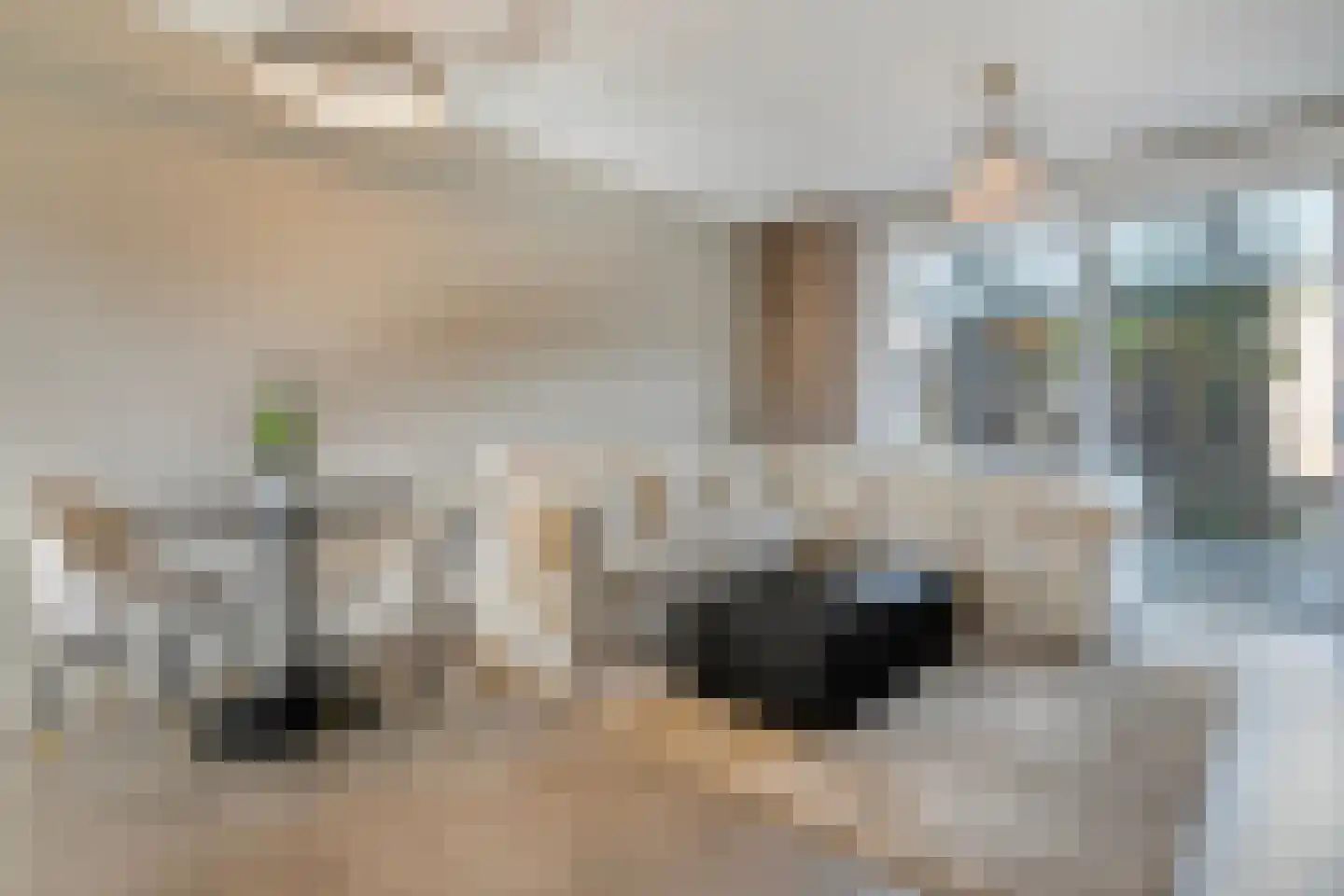 Lindenhorststraat 10 Zwolle thumbnail 7