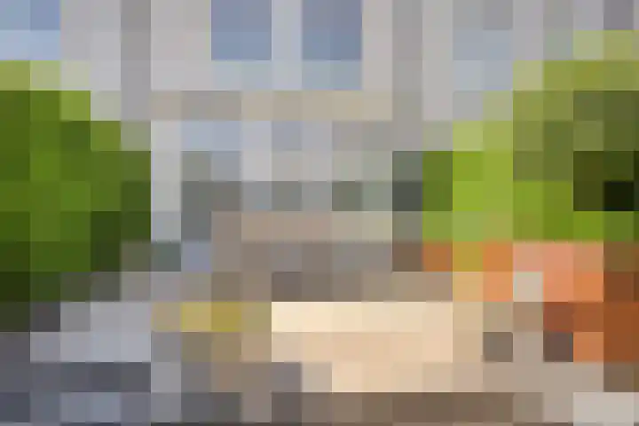 Lindenkruis 23 Maastricht thumbnail 10