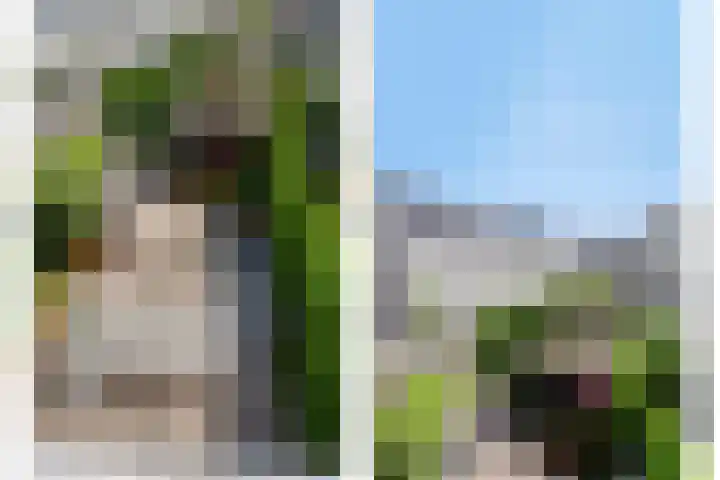 Lindenkruis 23 Maastricht thumbnail 13