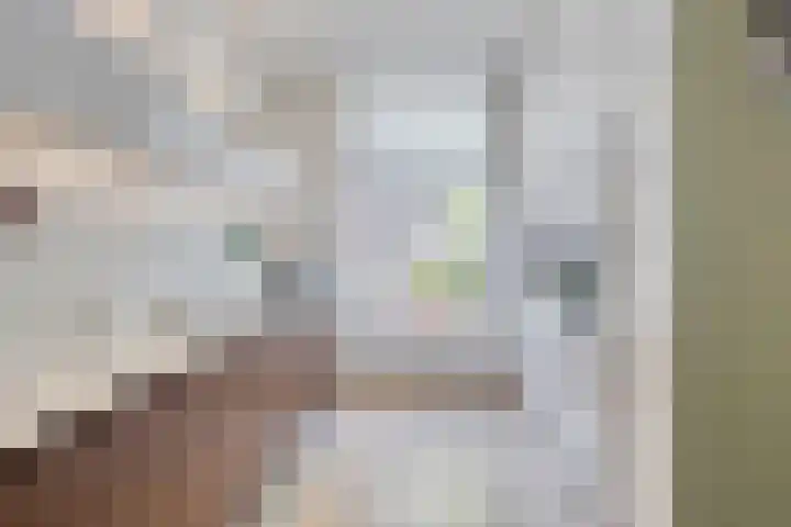Lindenkruis 23 Maastricht thumbnail 14