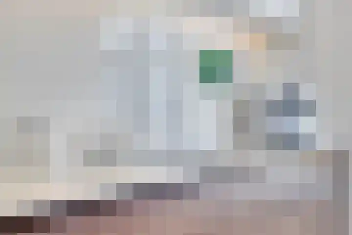 Lindenkruis 23 Maastricht thumbnail 15