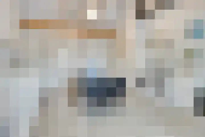 Lindenkruis 23 Maastricht thumbnail 28