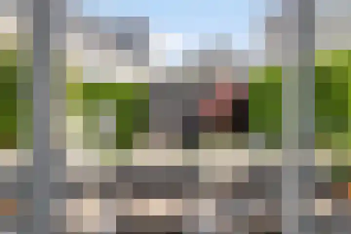 Lindenkruis 23 Maastricht thumbnail 9