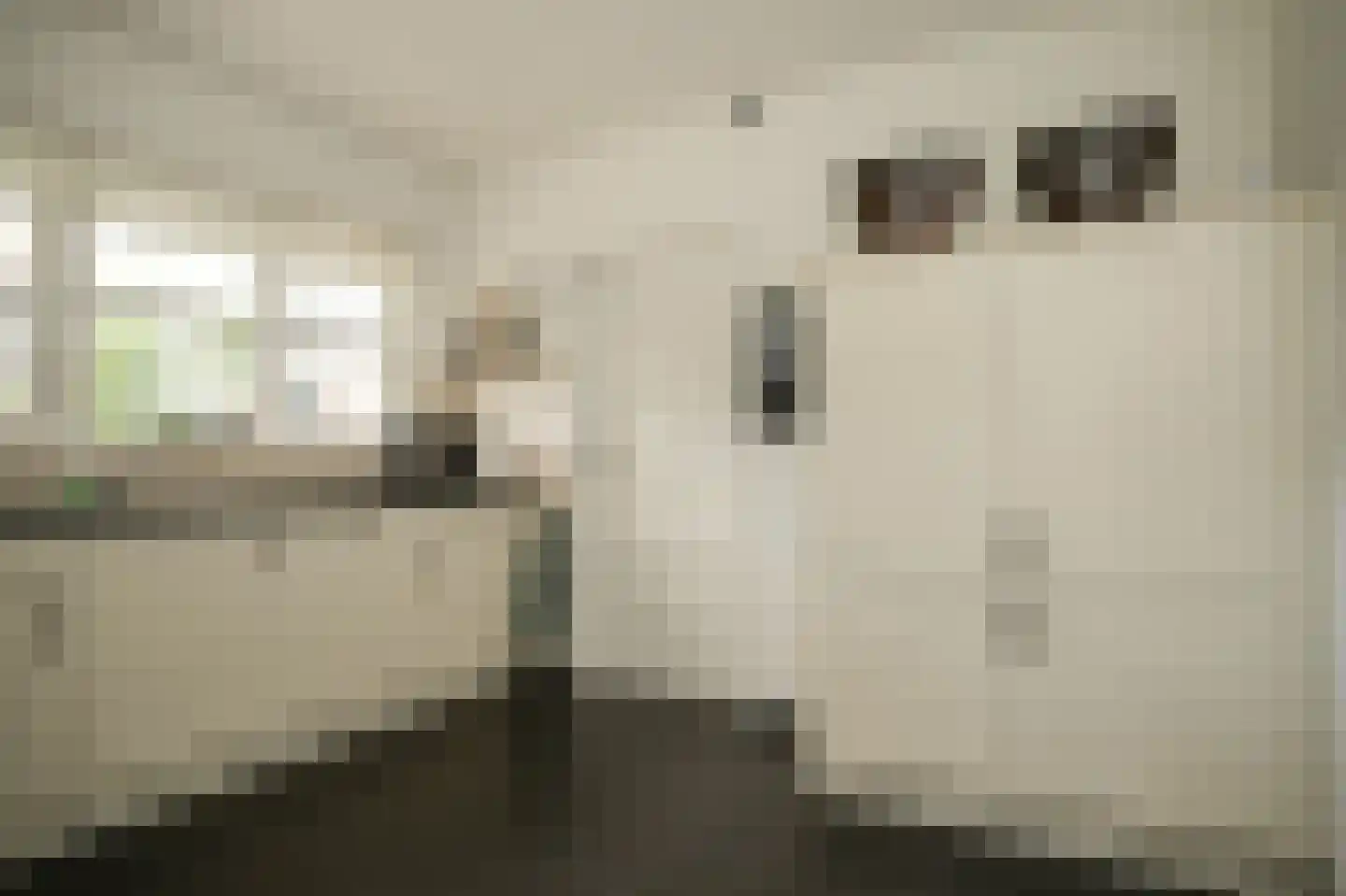 Lindenlaan 1 Alphen thumbnail 16