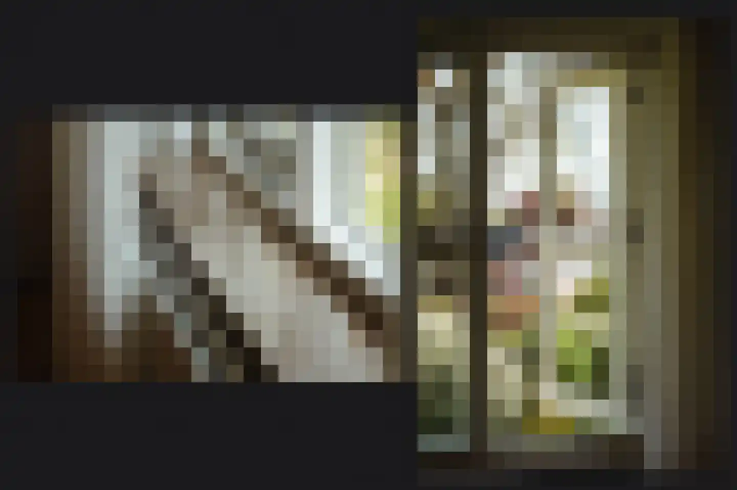 Lindenlaan 1 Alphen thumbnail 23