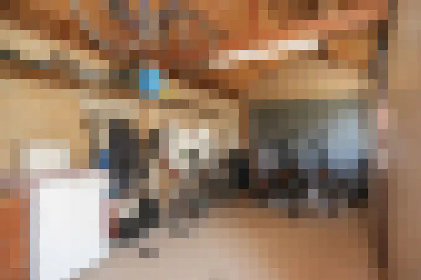 Lindenlaan 1 Alphen thumbnail 35