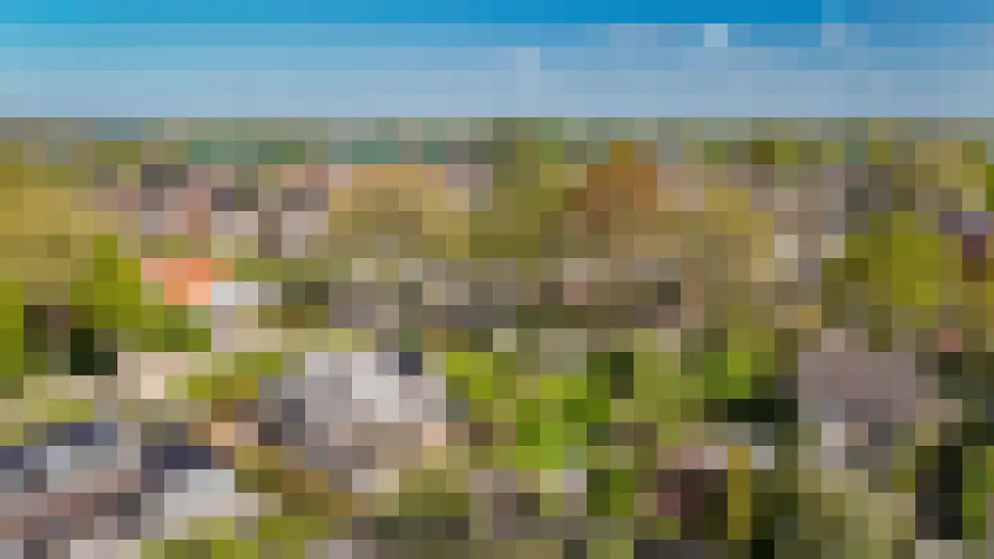 Lindenlaan 1 Alphen thumbnail 4