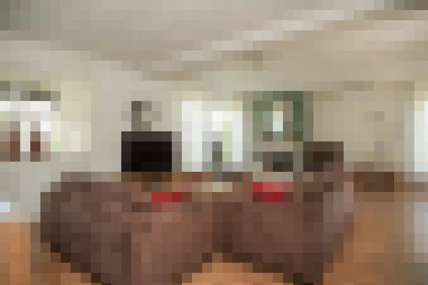 Lindenlaan 1 Alphen thumbnail 7