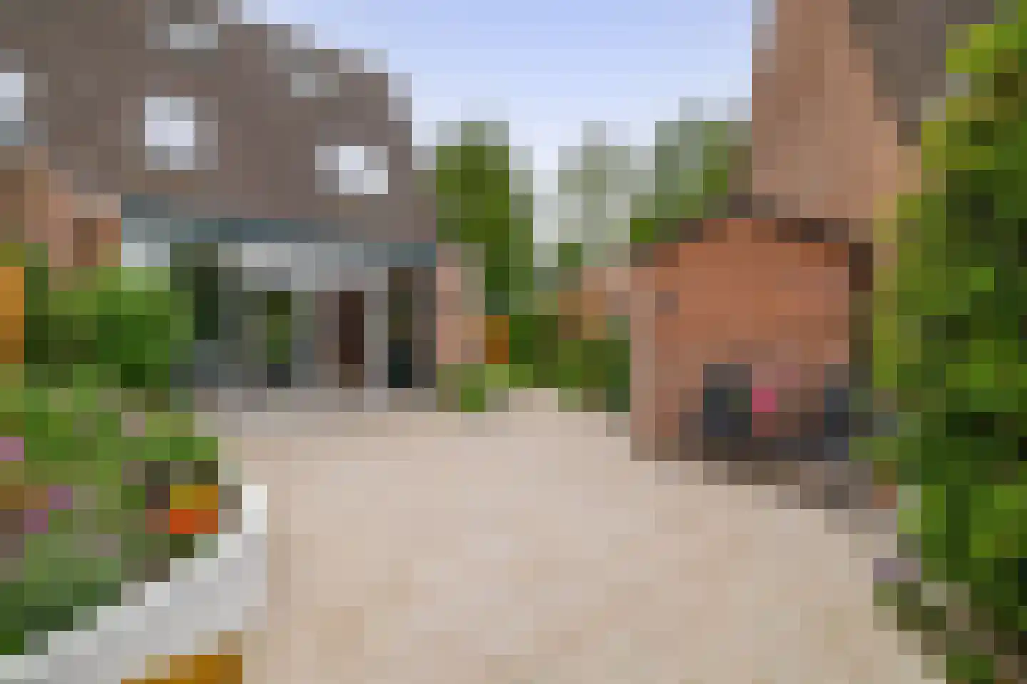 Lindenlaan 1 Lisse thumbnail 19