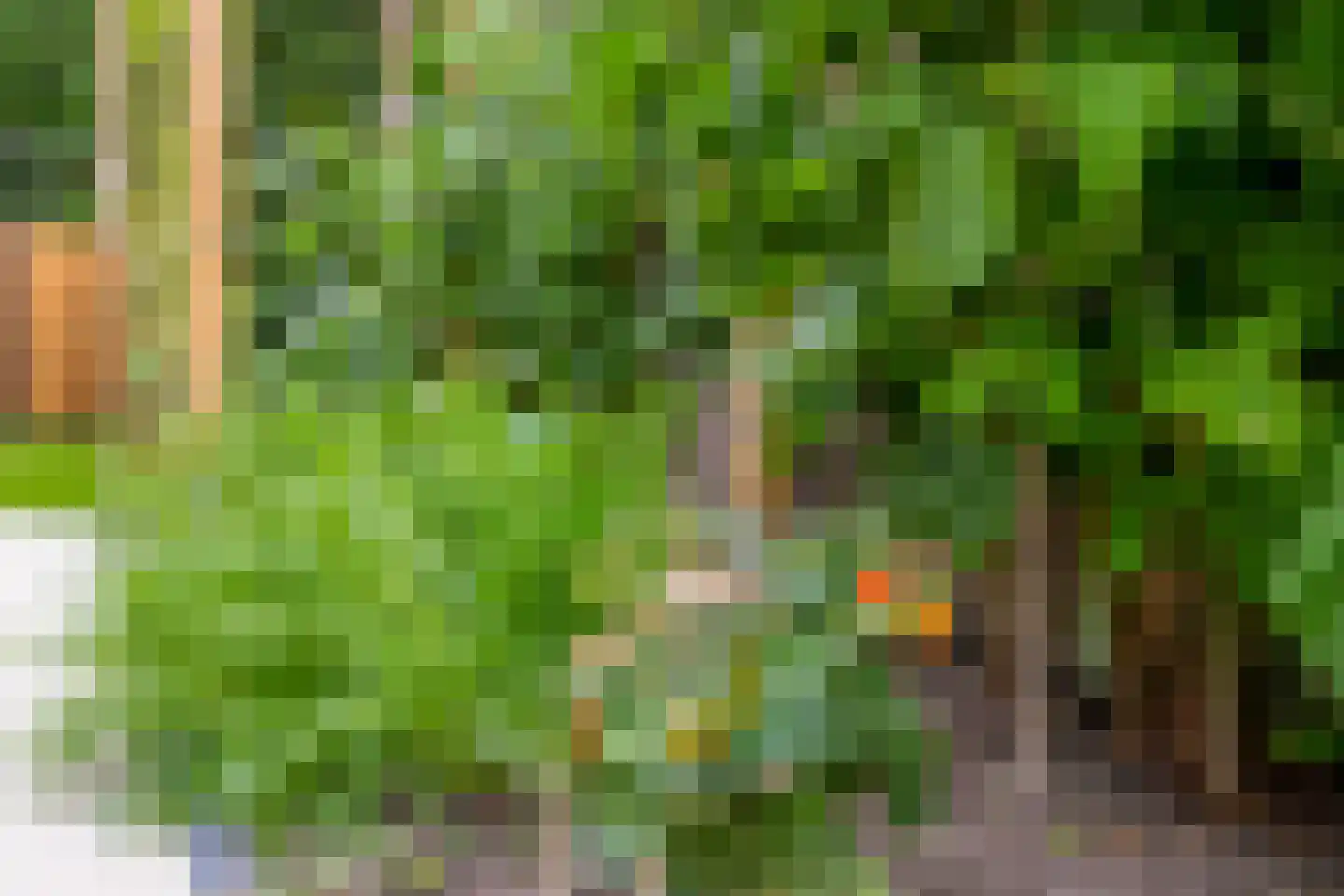 Lindenlaan 1 Lisse thumbnail 24