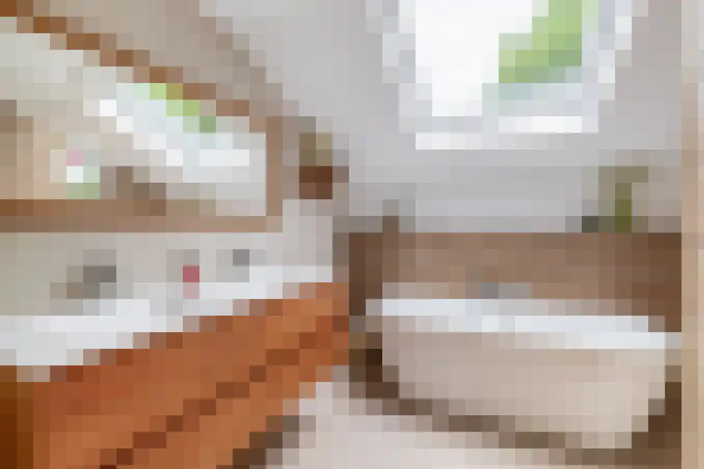 Lindenlaan 1 Lisse thumbnail 32