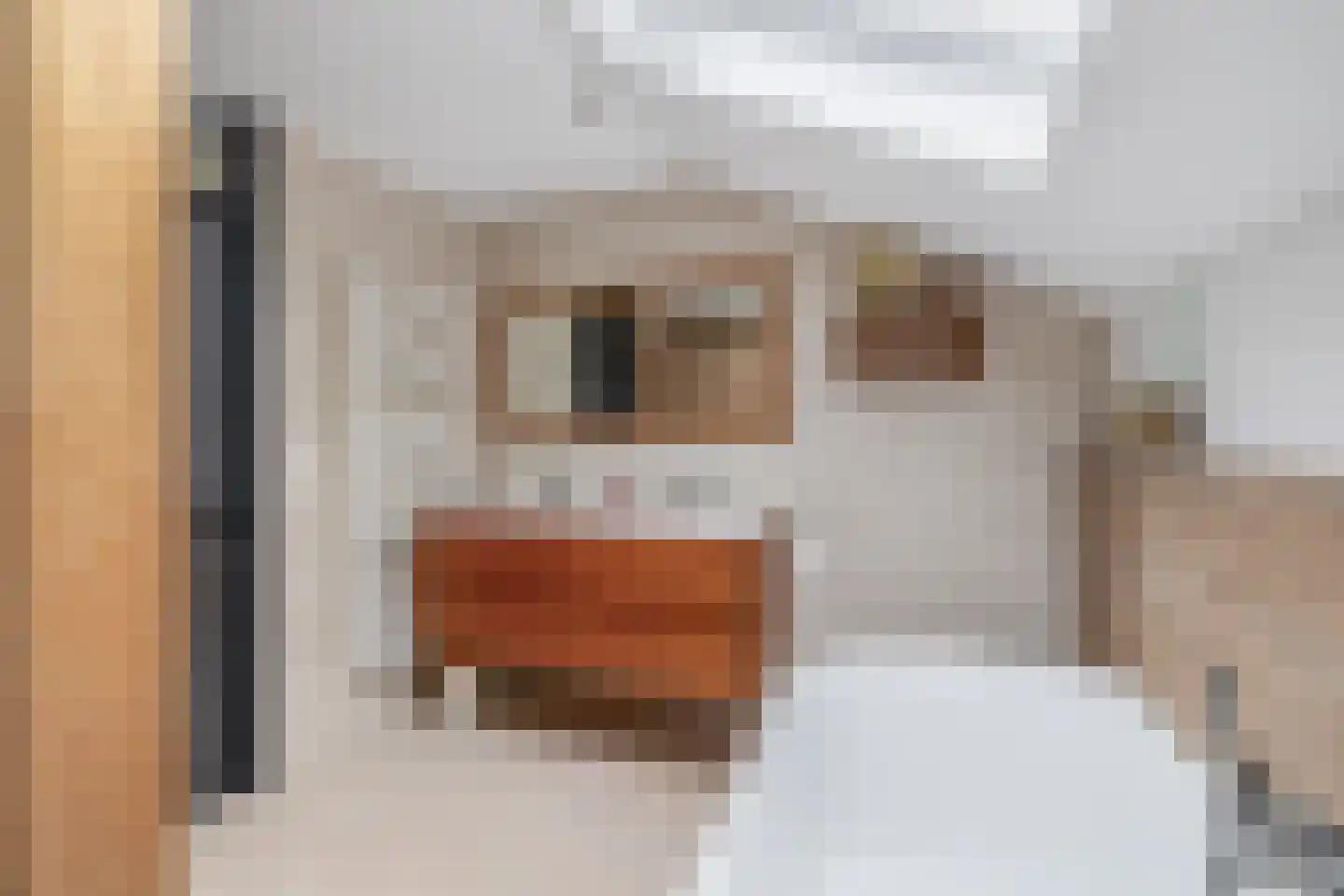 Lindenlaan 1 Lisse thumbnail 33