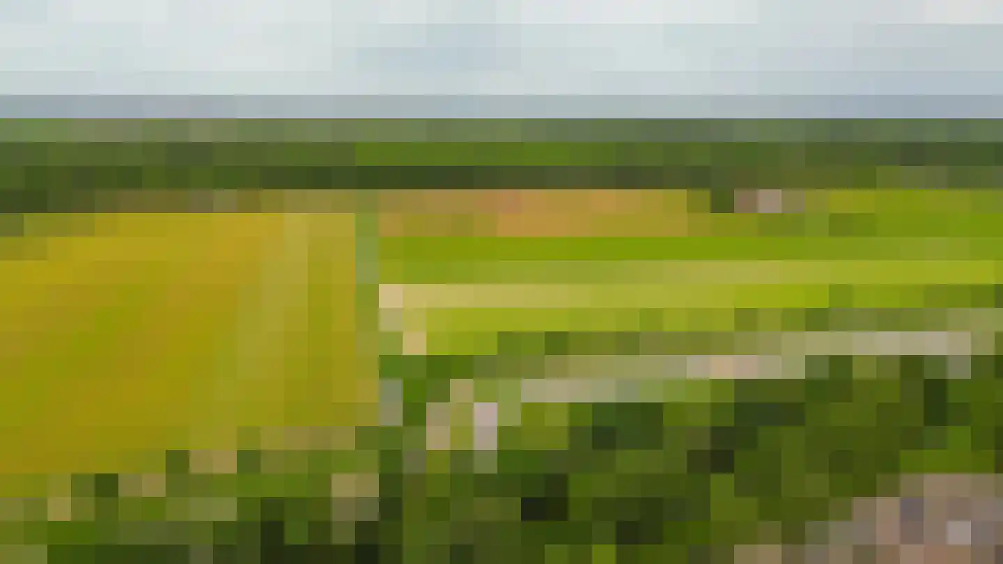 Lindenlaan 1 Lisse thumbnail 45