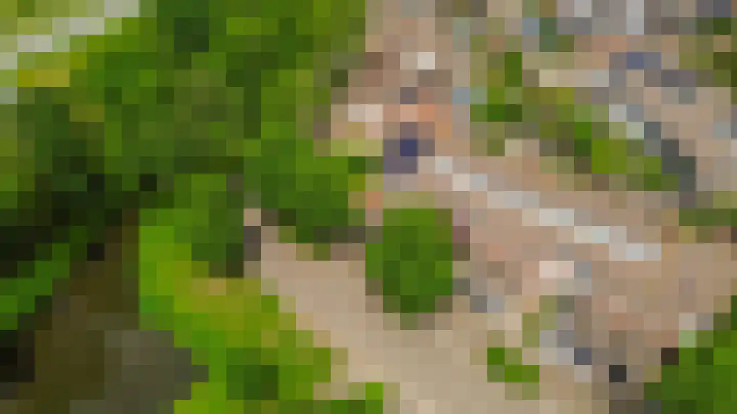 Lindenlaan 1 Lisse thumbnail 47
