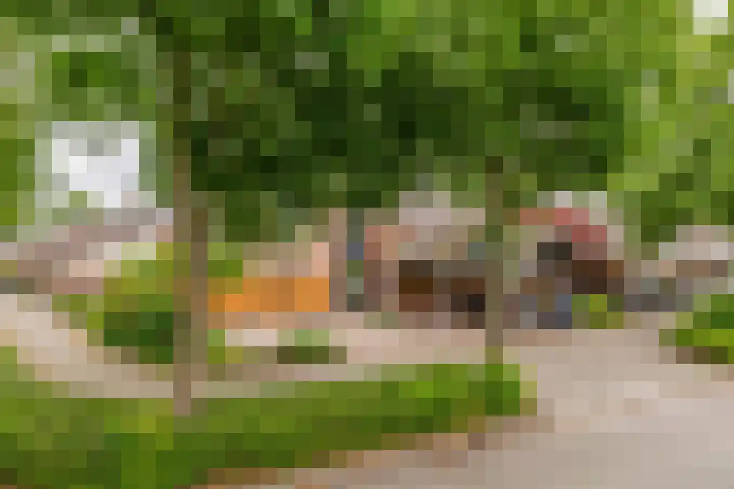Lindenlaan 1 Lisse thumbnail 51