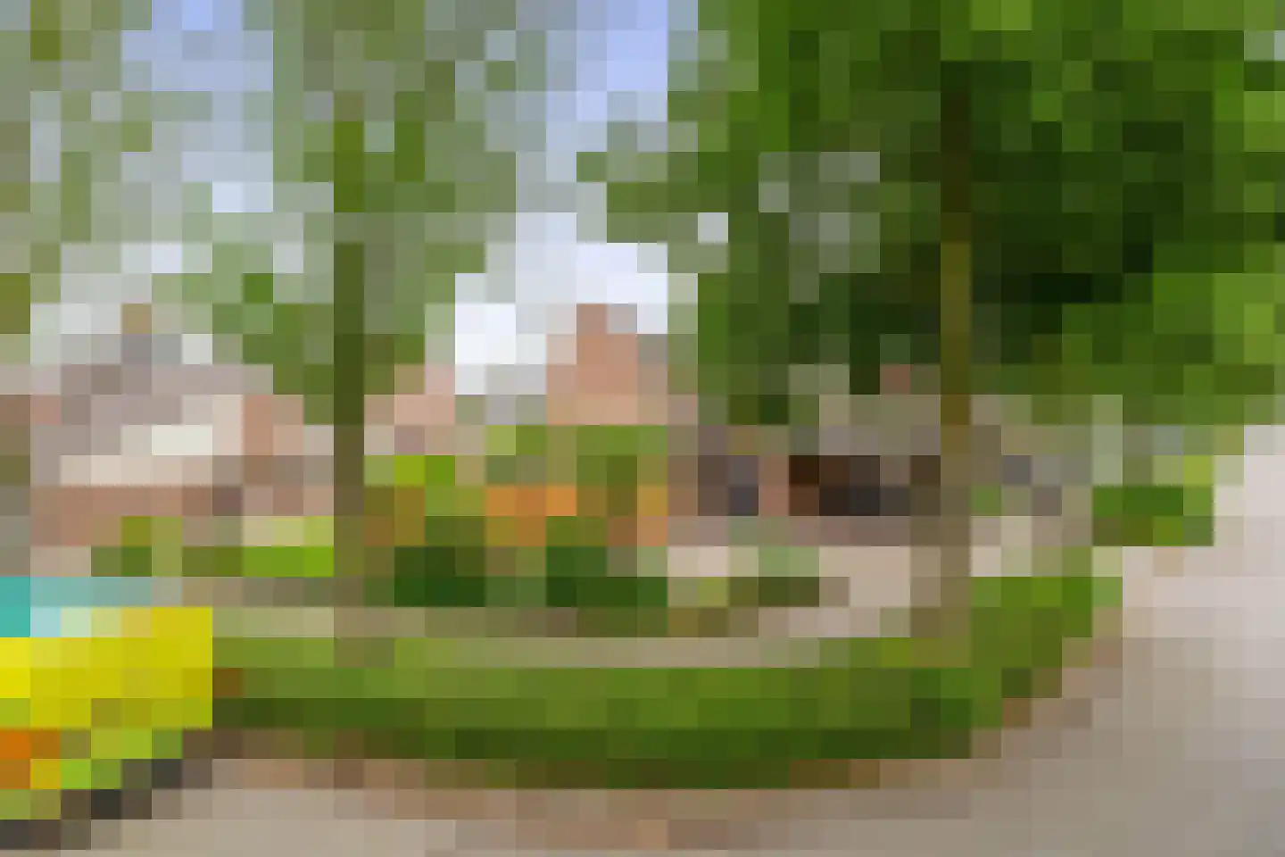 Lindenlaan 1 Lisse thumbnail 52