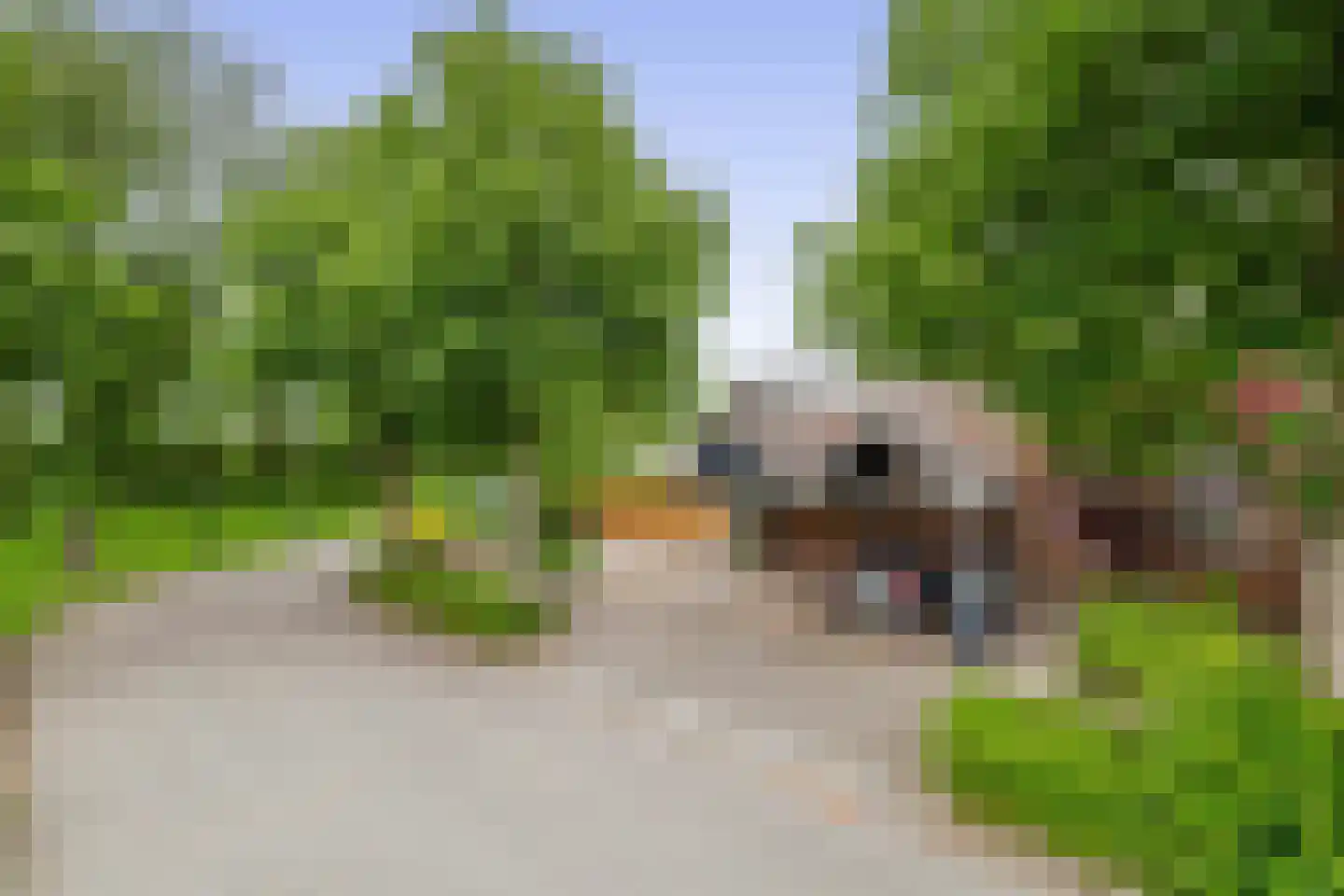 Lindenlaan 1 Lisse thumbnail 53